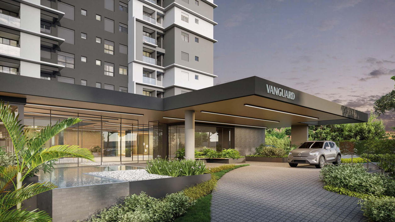 Tay Vanguard | Campinas